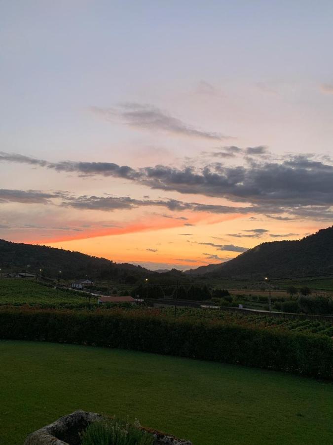 Вілла Quinta Do Palame Віла-Флор Екстер'єр фото